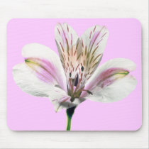 Tiger Lilly mousepads