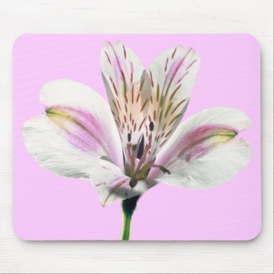 Tiger Lilly Mouse Mat by roimim