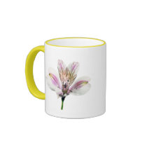 Tiger Lilly mugs