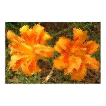 TIGER LILLYS posters