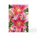 Tiger Lily Bouquet Greeting Cards