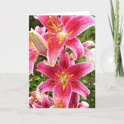 red tiger lily bouquet. Tiger Lily Bouquet Greeting