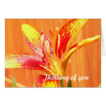 Tiger Lily Greeting Cards