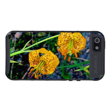 Tiger Lily iPhone 5 Cover