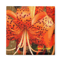 'Tiger Lily' Refrigerator Magnet