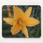 Tiger Lily Mouse Pad