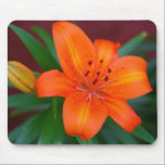 Tiger Lily Mousepad mousepads