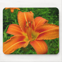 Tiger Lily Mousepad