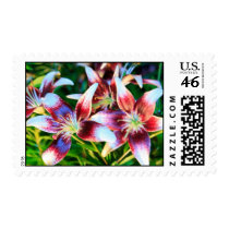 Tiger Lily postage