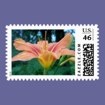 tiger lily stamps