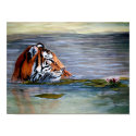 Tiger Lily posters