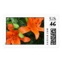 Tiger Lily Stamp