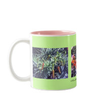Tiger Lily Trio mugs