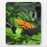 Tiger Longwing Mousepad