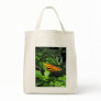 Tiger Longwing Organic Gr...