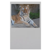 Tiger Love Stationery Design