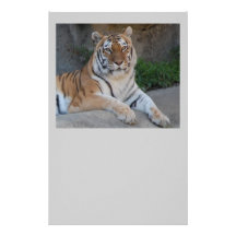 Tiger Love Stationery Design