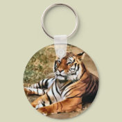 Tiger Lovers Art Gifts