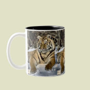 Tiger Lovers Art Gifts