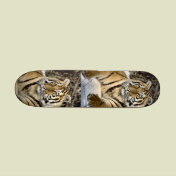 Tiger Lovers Art Gifts