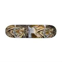 Tiger Lovers Art Gifts skateboards