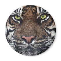 Tiger magnets