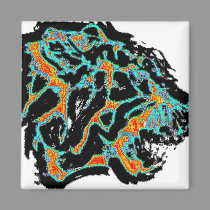 Tiger magnets