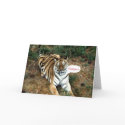 Tiger Merry Christmas card