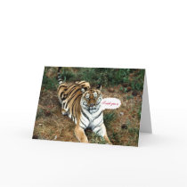 Tiger Merry Christmas card