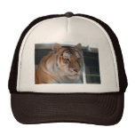 Tiger Mesh Hat