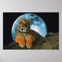 TIGER MOON posters