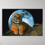 TIGER MOON posters