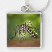 Tiger mosquito keychains