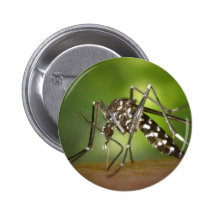 Tiger mosquito pin