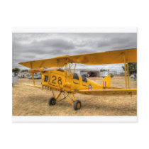 Tiger Moth 80Th Anniversary Fly-in Post Card
