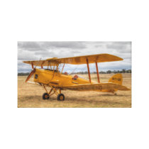 Tiger Moth Canvas Print