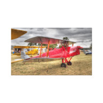 Tiger Moth Gallery Wrapped Canvas