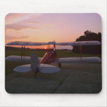 Tiger Moth mousepads