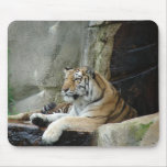 Tiger Mouse pad