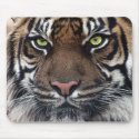 Tiger mousepads by REDINARD Tiger mousepads