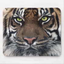 Tiger mousepads