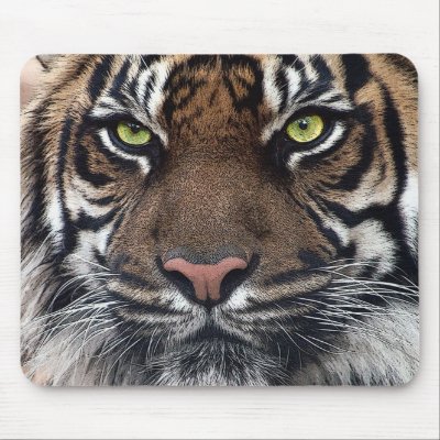 Tiger Mouse Pad by REDINARD