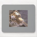 Tiger mousepad
