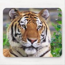 Tiger mousepads by sarasanimalsanctuary Tiger mousepads