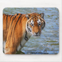 Tiger mousepads
