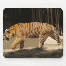 Tiger mousepads