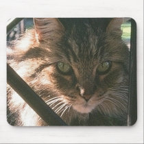 Tiger mousepads