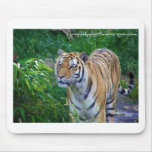 Tiger Mousepad mousepads
