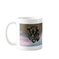 tiger mugs