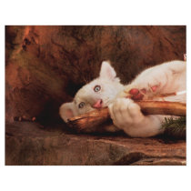 Tiger - My Chew Toy flyers by suburbanscenes Tiger - My Chew Toy flyers